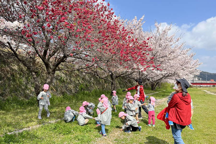 花見　河川敷